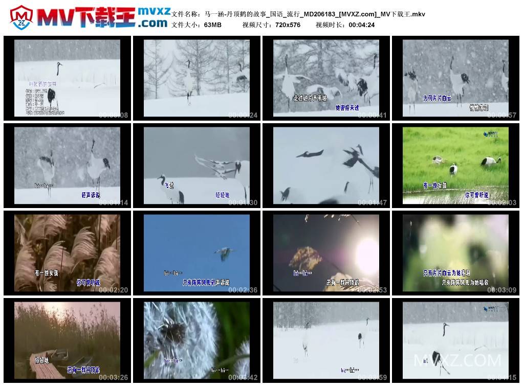 马一涵-丹顶鹤的故事_国语_流行_MD206183